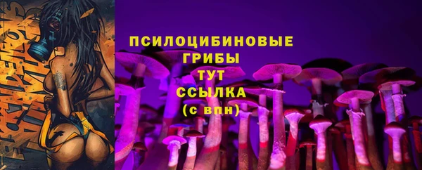 мяу мяу мука Алексеевка